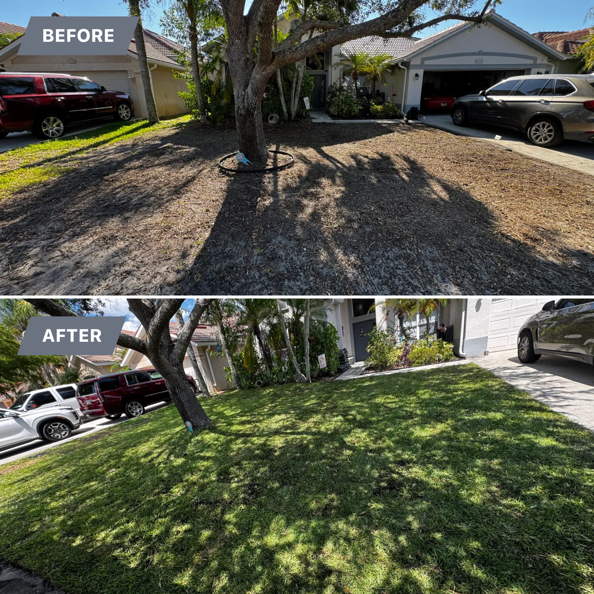  for BH Lawn and Landscape in Fort Myers, FL