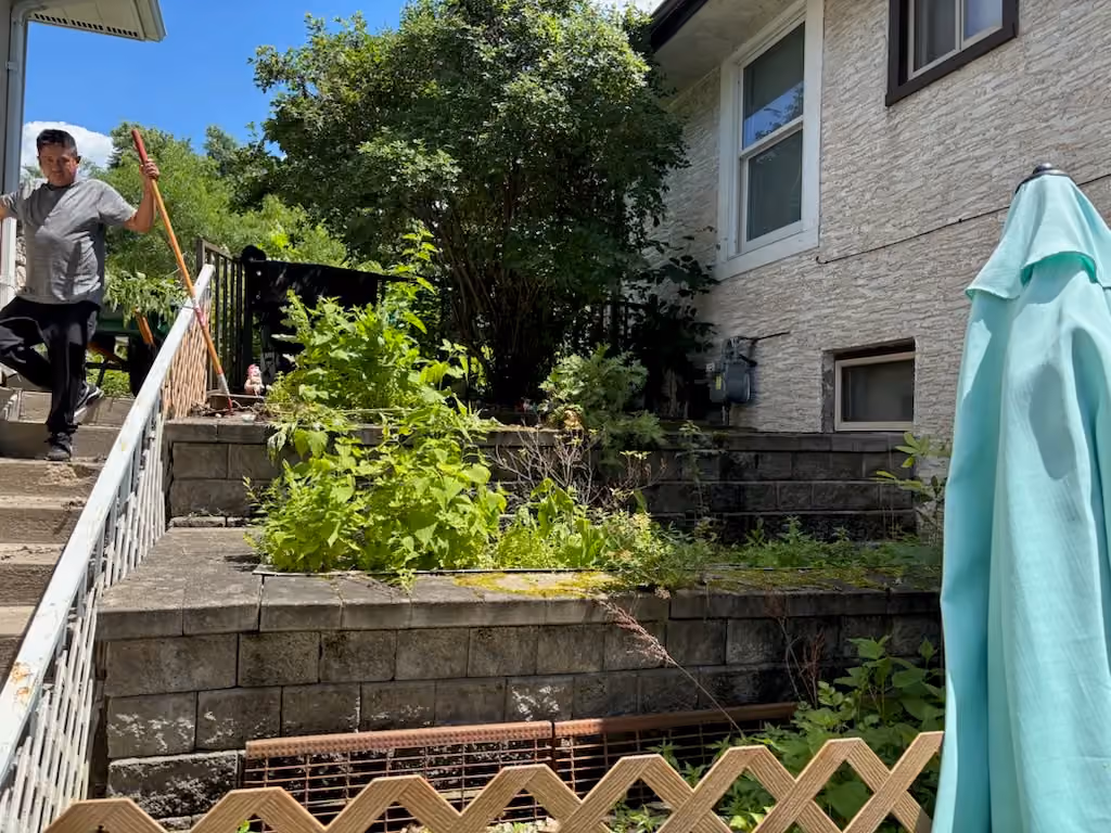 Shrub Removal