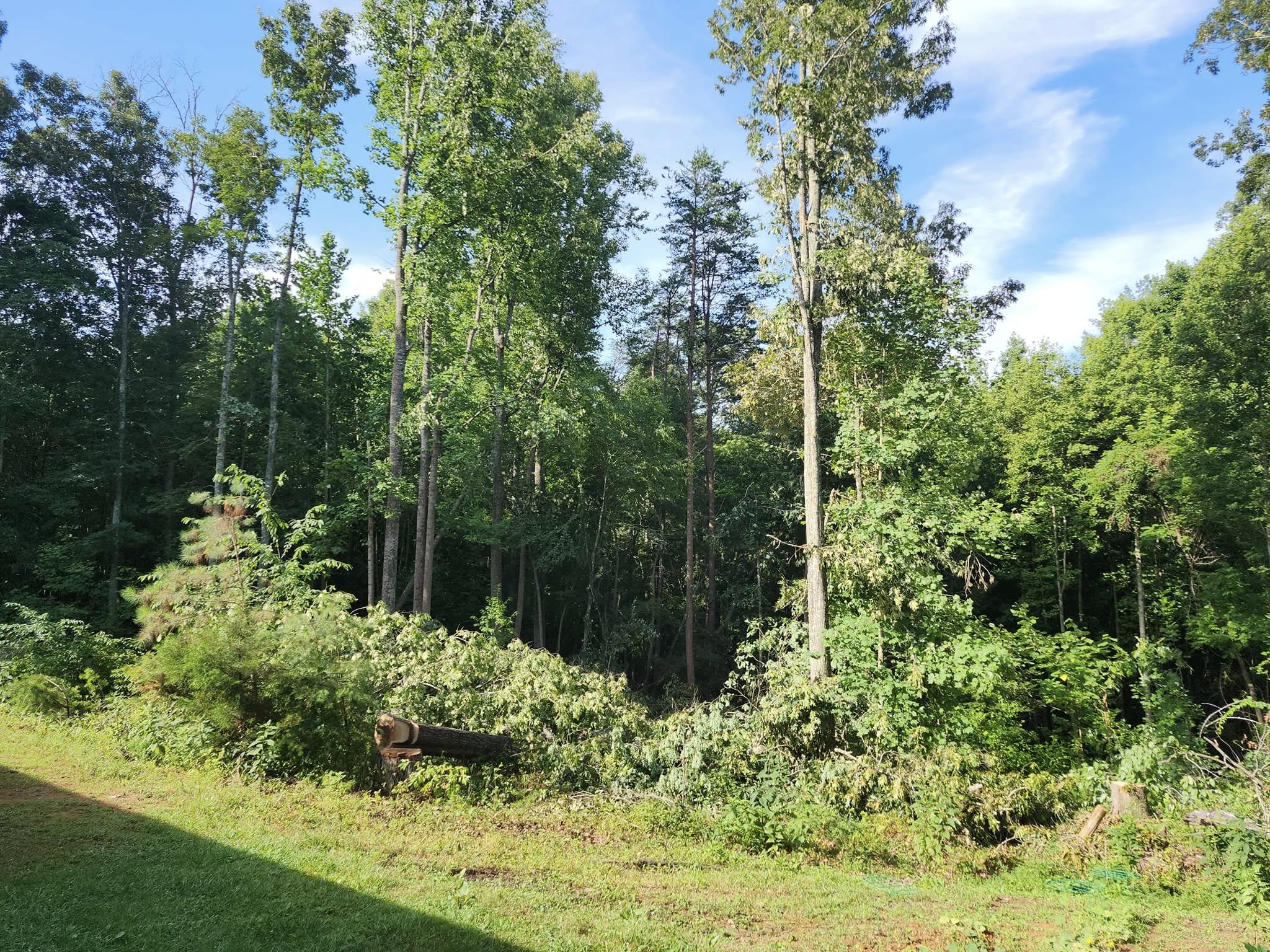  for Red Roosters Tree Services in Bedford, VA