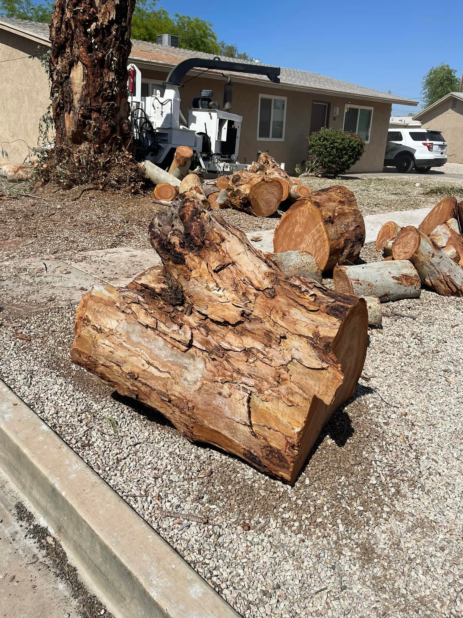  for Yuma Palms & Tree Service in Yuma, AZ