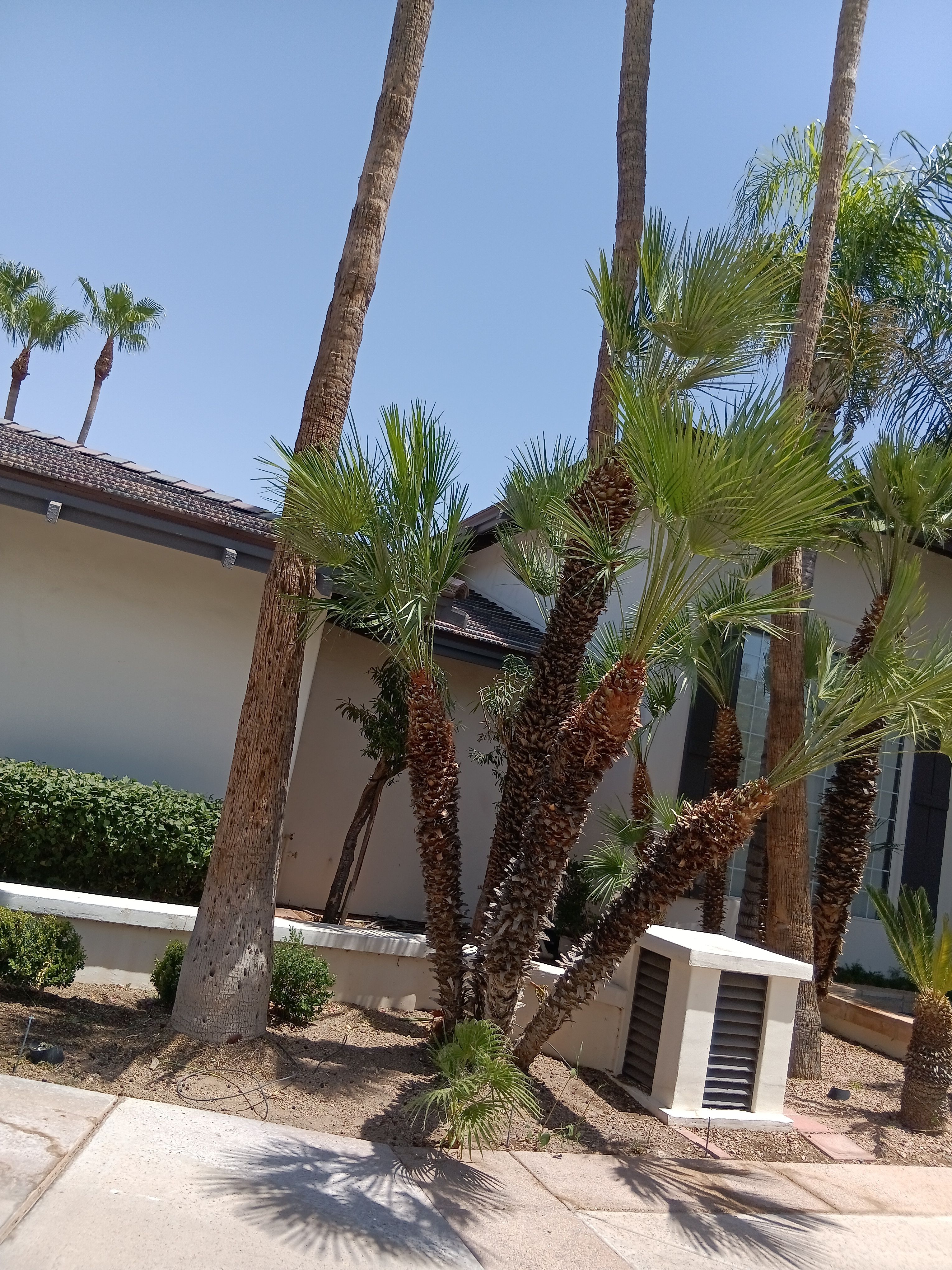  for Family Landscaping in Phoenix, AZ