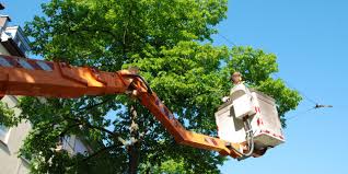  for Minnesota Seasonal in Corcoran, MN