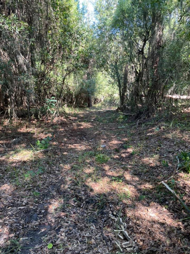  for Florida Site and Septic in Lakeland, FL