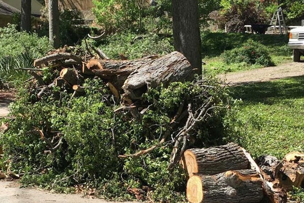  for Red Line Window Rescue in Sarasota, FL