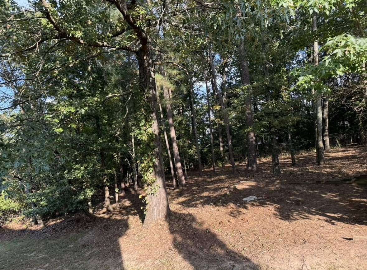  for Brumblebee's Landscaping & Cleaning Services in Loganville, GA