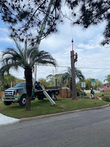  for Elite Tree & Landscape Services LLC in St. Augustine, FL