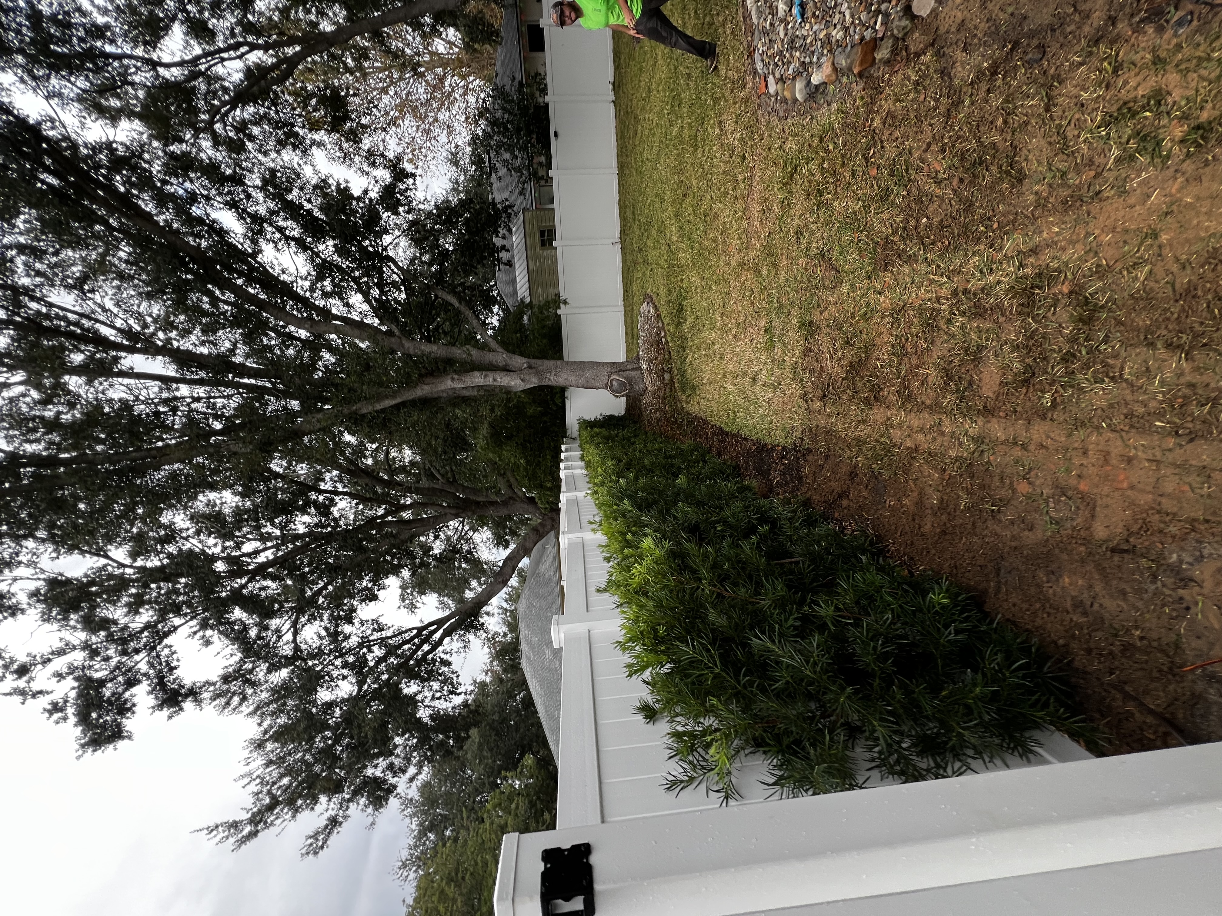  for Browne’s Yard Creations in Fruitland Park, FL