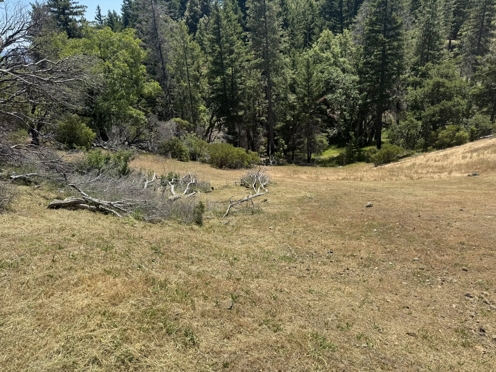 Construction & Remodeling company Stanisloo’s Landscaping and Services in Potter Valley, CA