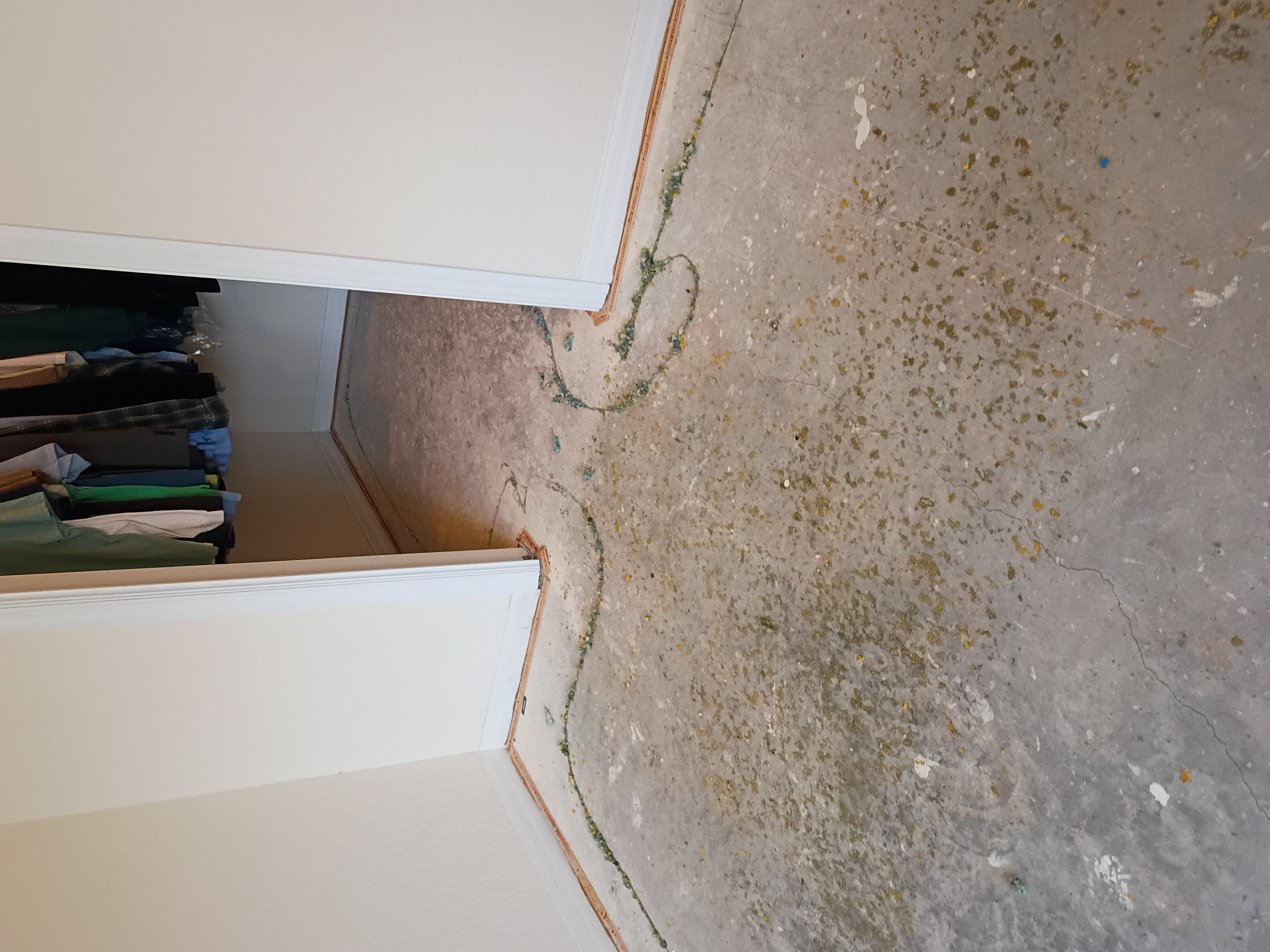  for Travieso Flooring LLC in Dade City, FL
