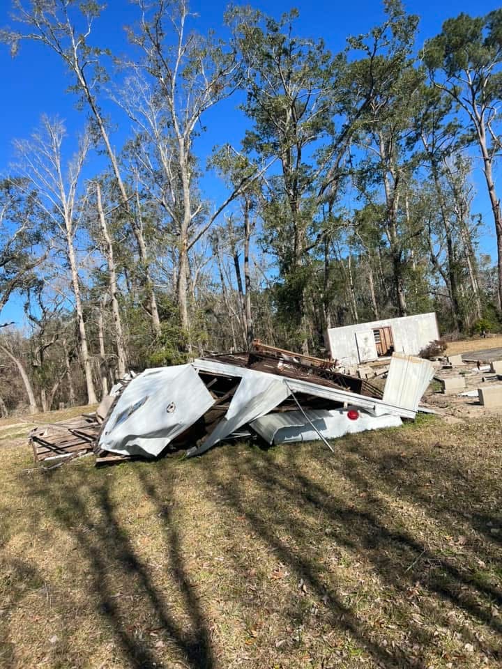  for Warners Tree Solutions in Live Oak, FL