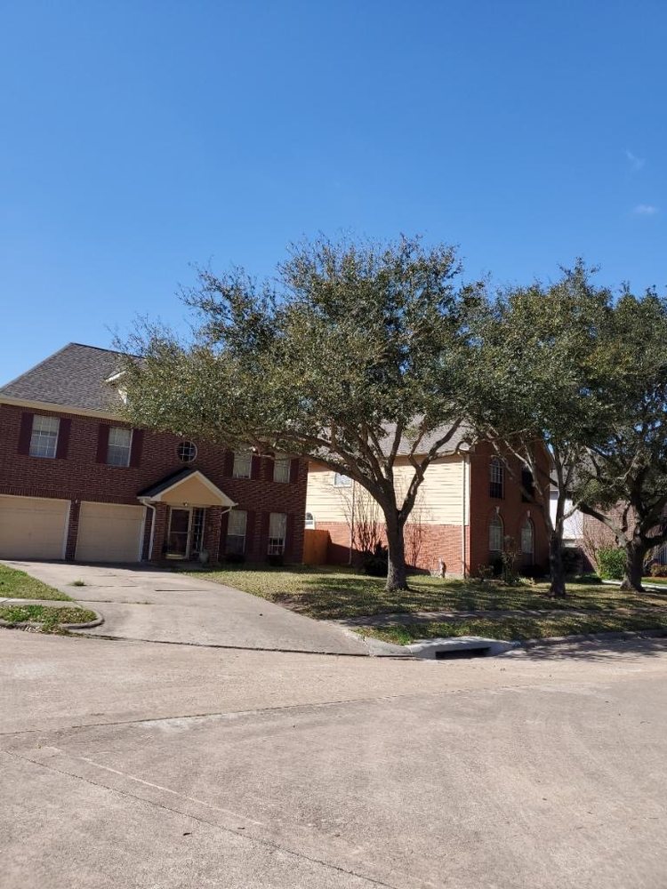  for Greenfield Tree Services in Manvel, TX