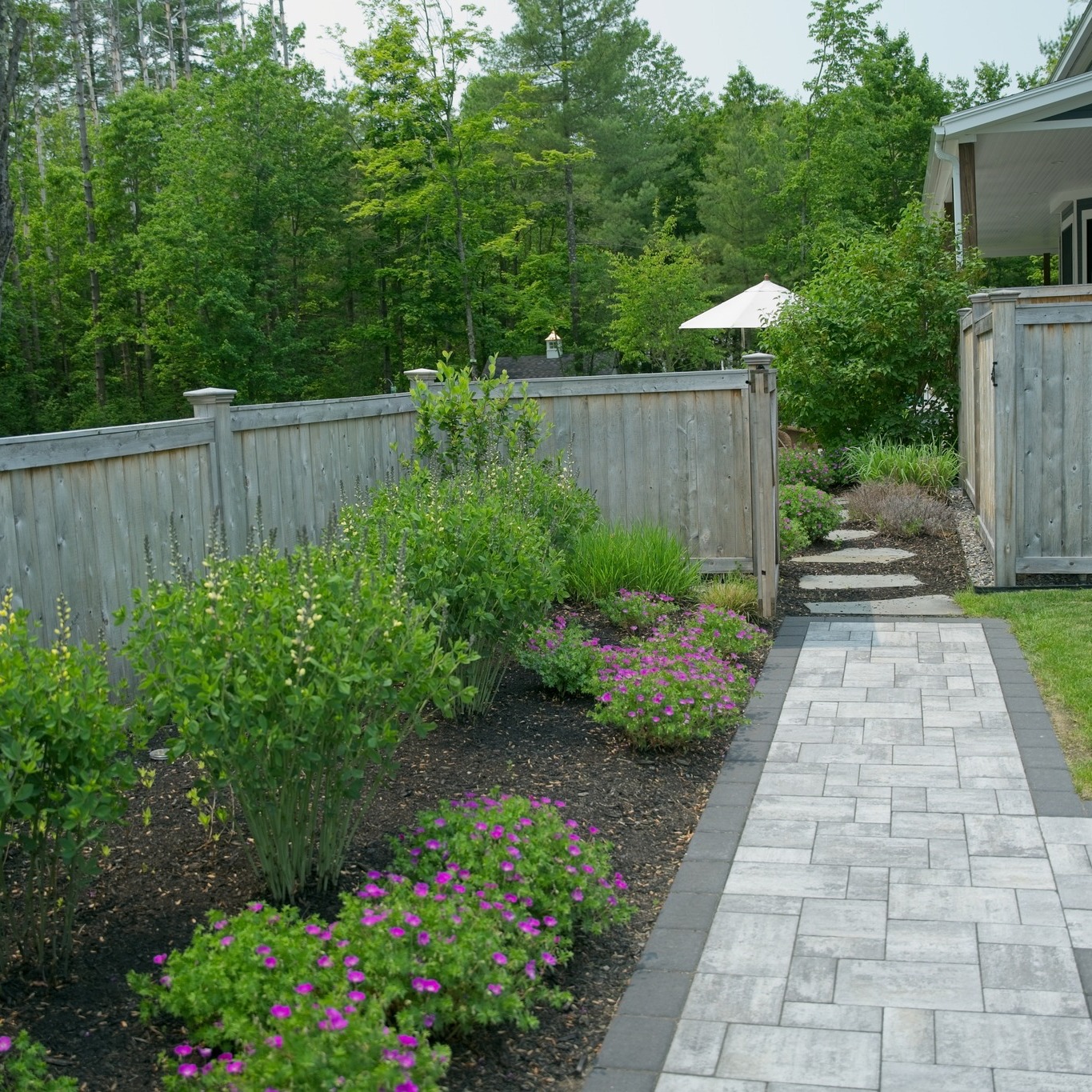 Tree and Shrub Planting