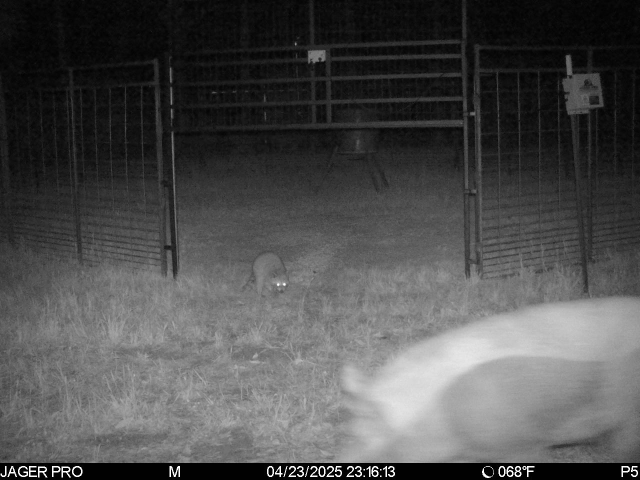  for Havoc Hog Control in Molino, FL