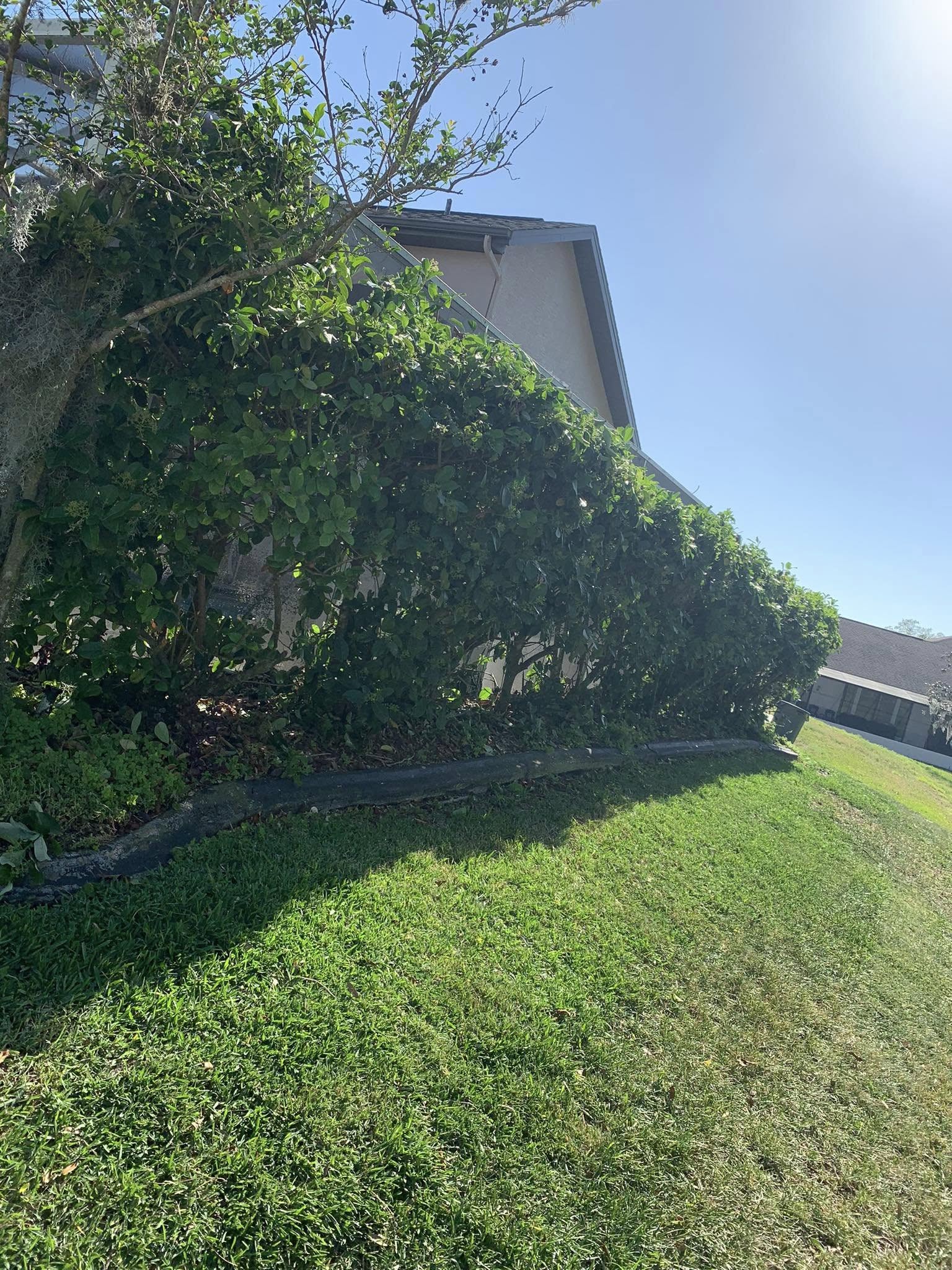  for Mitchell Lawn Service in Odessa, FL