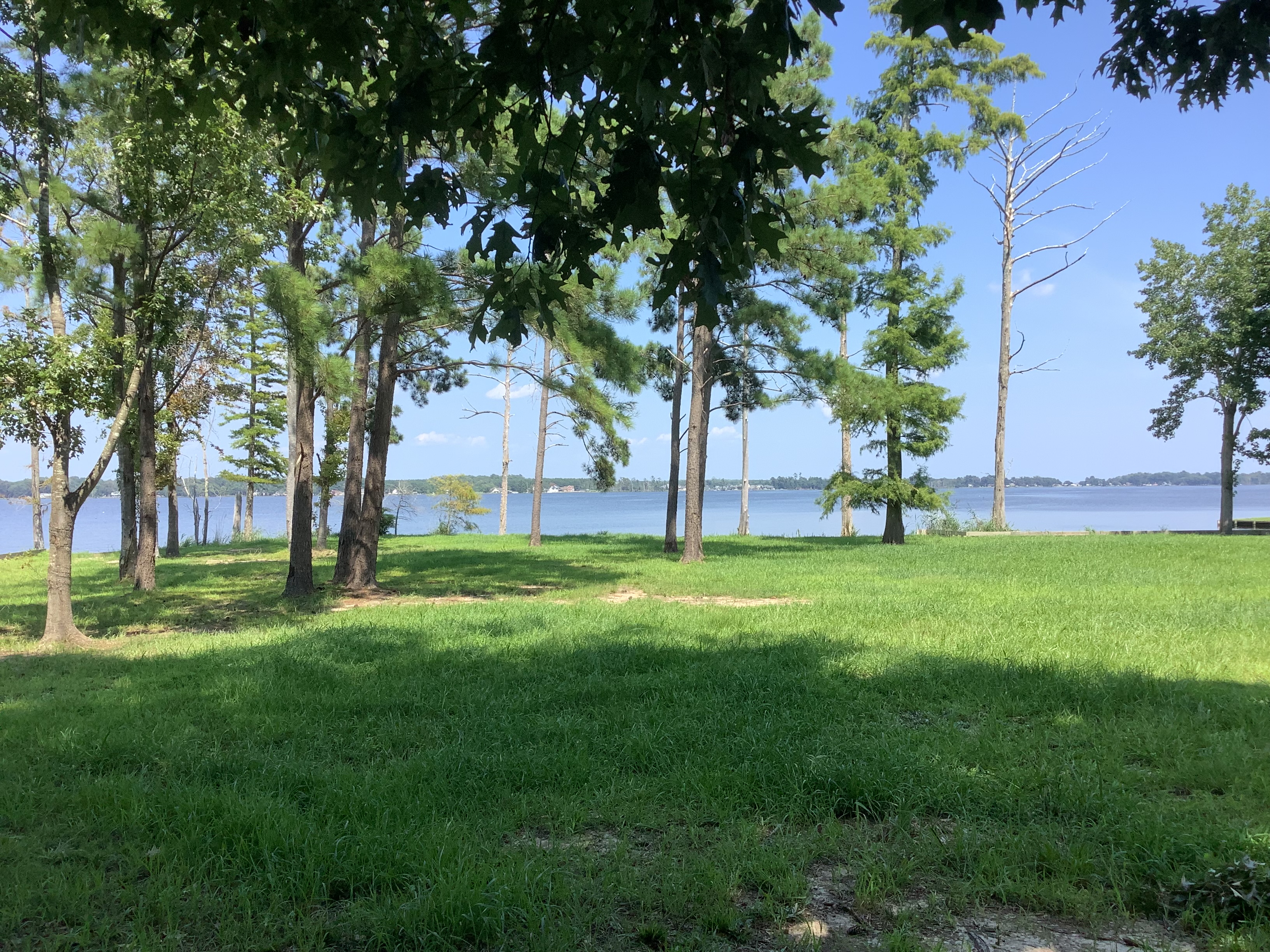 Real Estate company Stellar Properties North Carolina in Hertford, NC