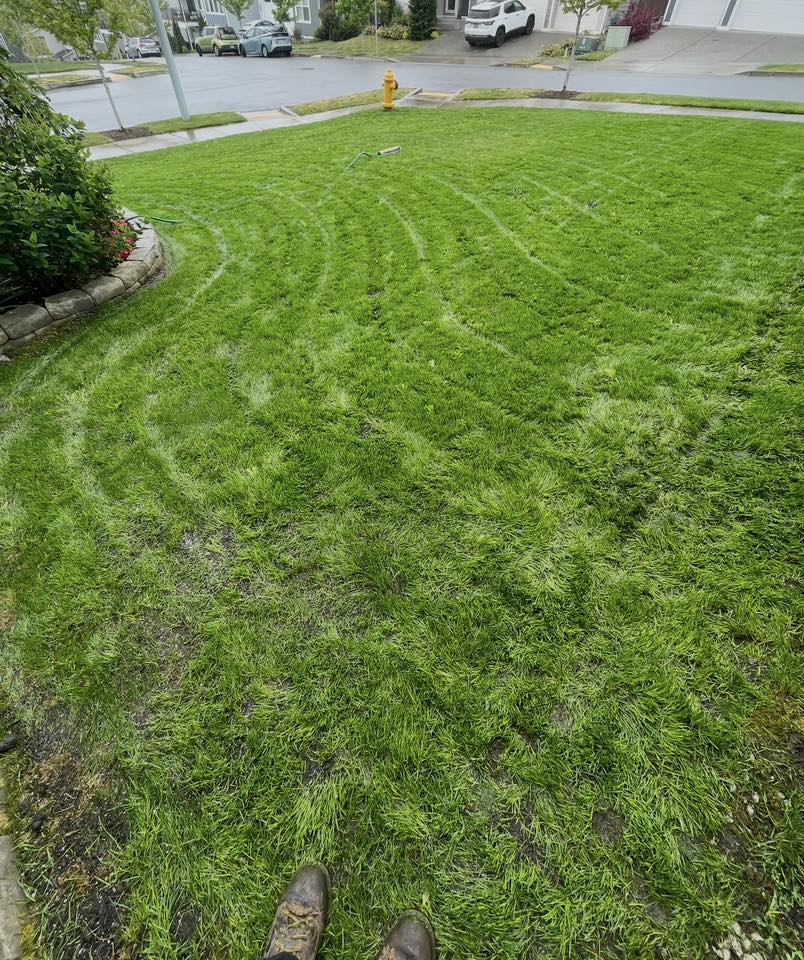  for B.U Landscaping in Everett, WA