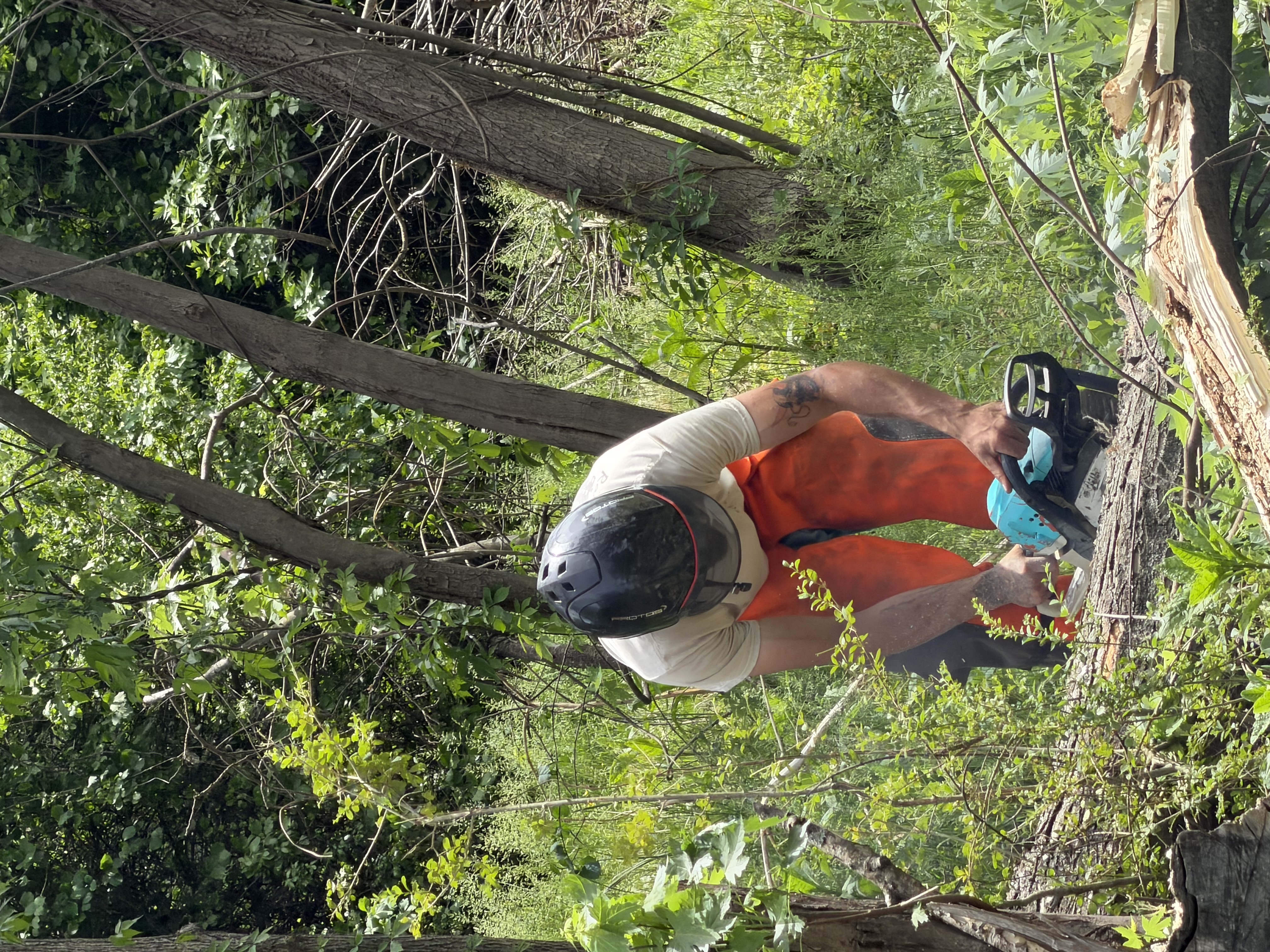  for Ramirez Tree Care in Elkin, NC