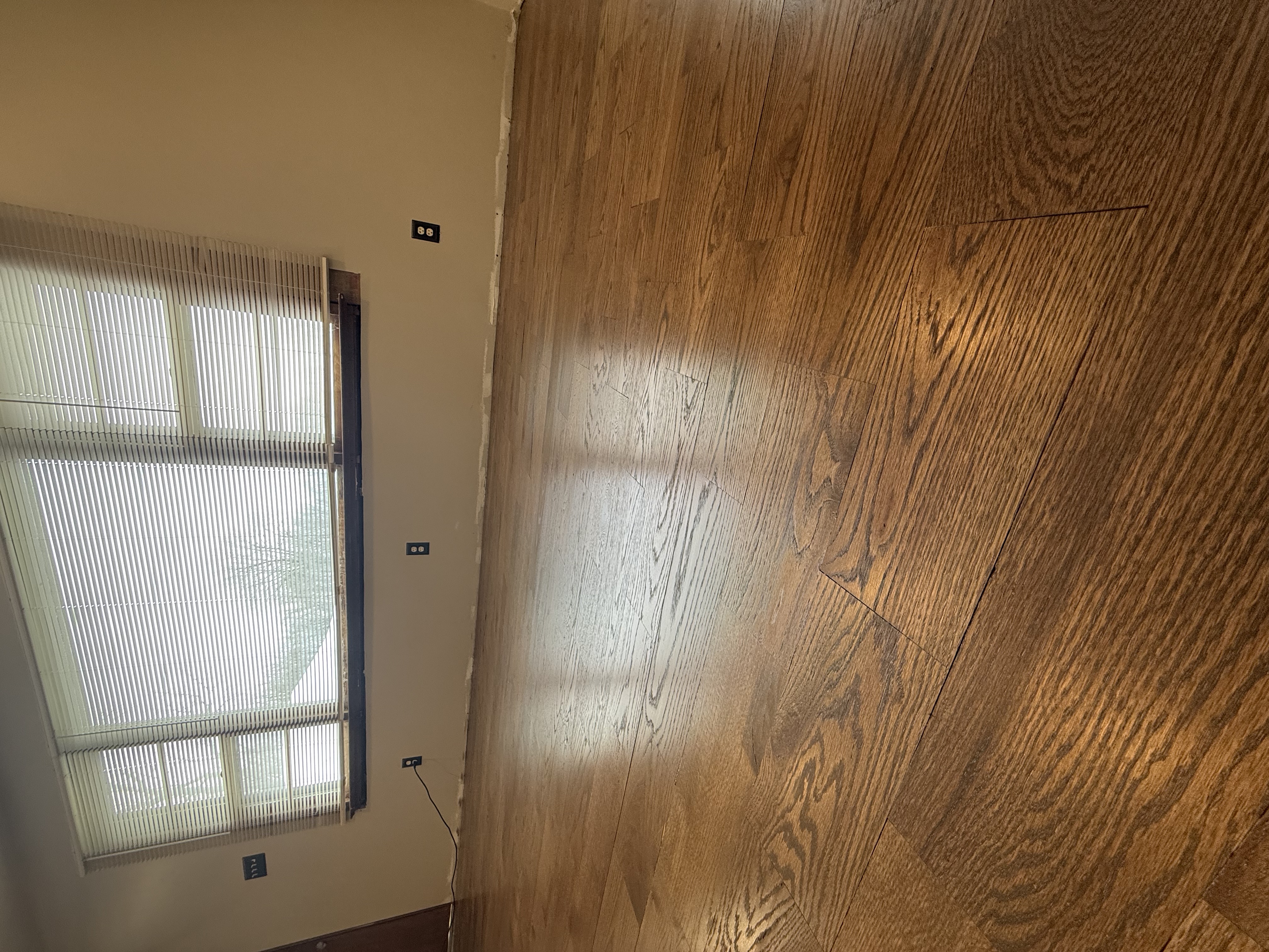  for Finely Finished LLC in Wyoming, DE