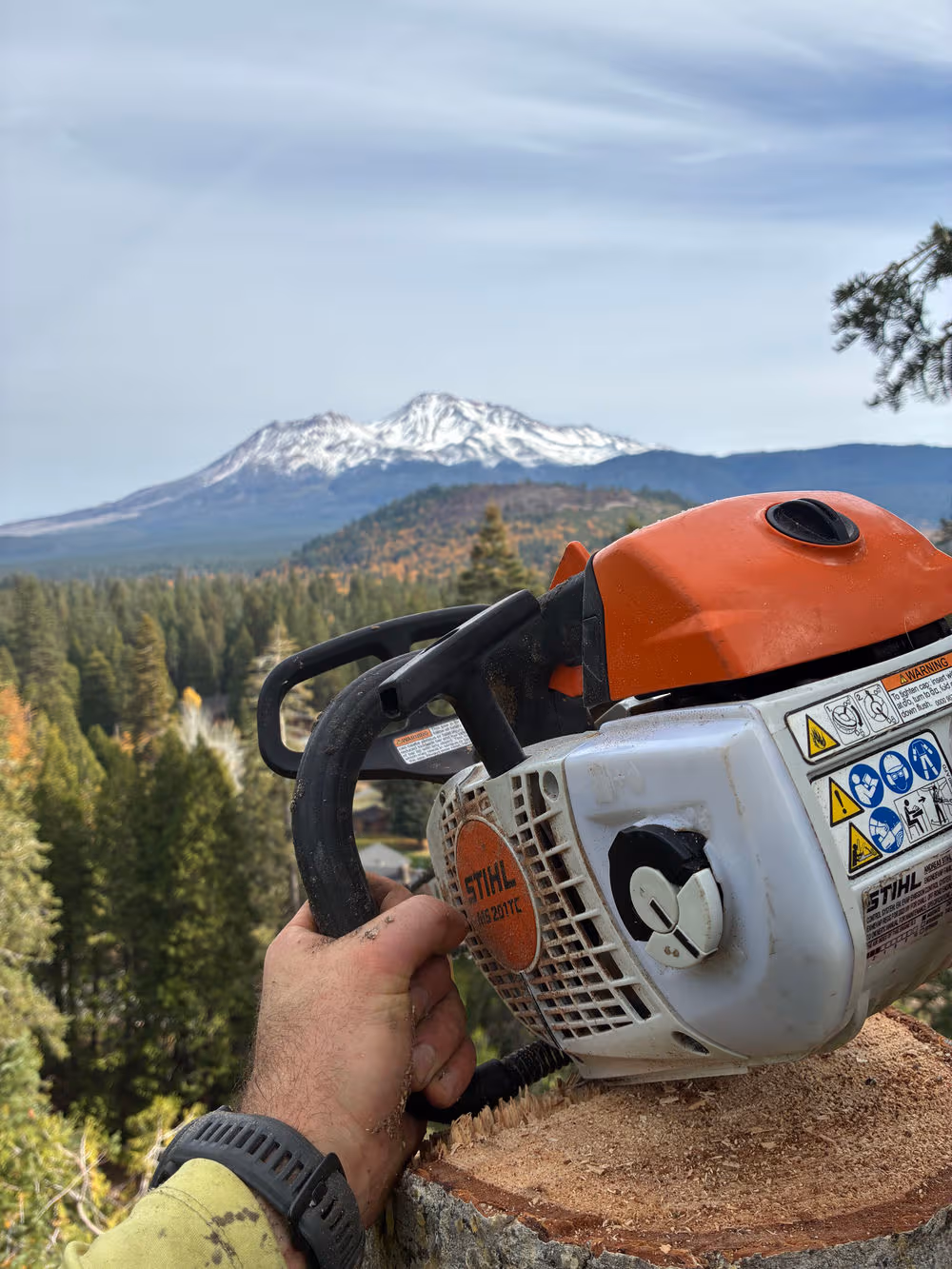 120-Foot Dead White Fir Removal — Mount Shasta, CA