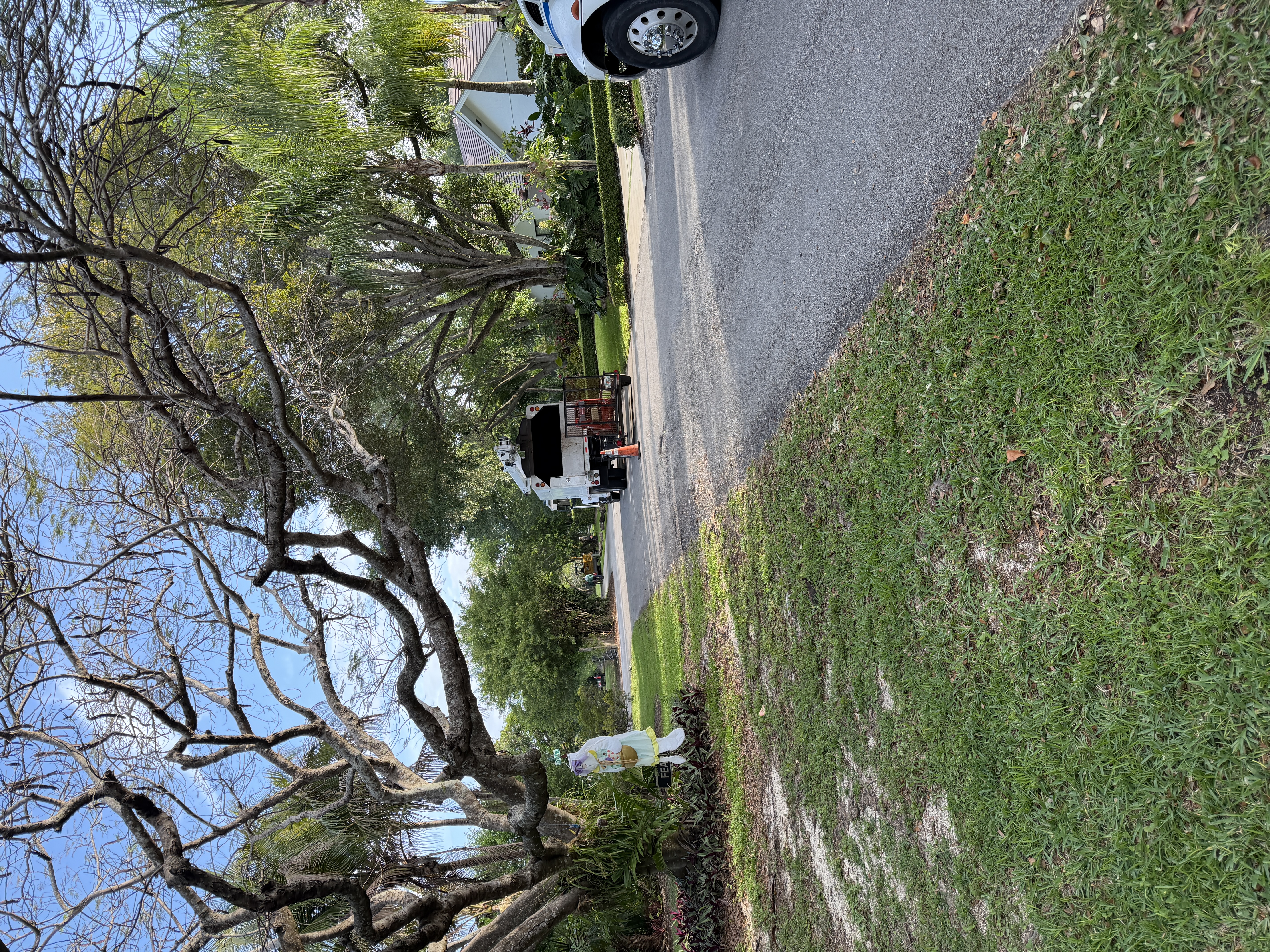  for Regional Land Construction in Miami, FL