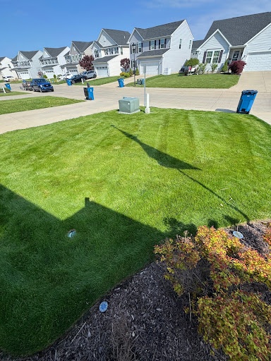  for Yard Theory in Willowick, OH