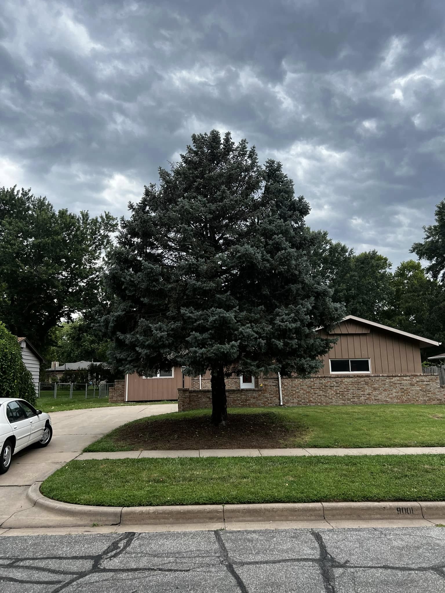  for Macy Mowing LLC in Wichita, KS