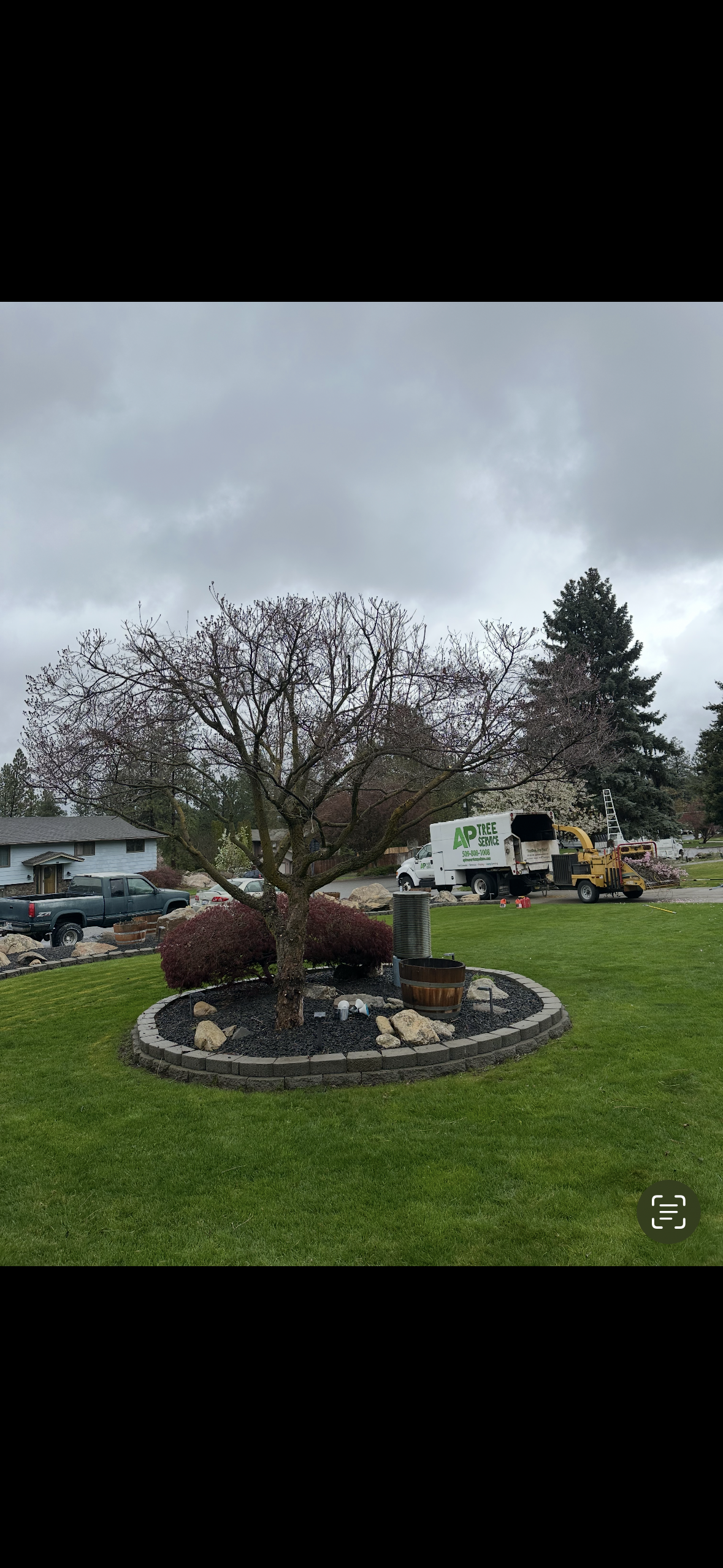  for AP Tree Service in Colbert, WA