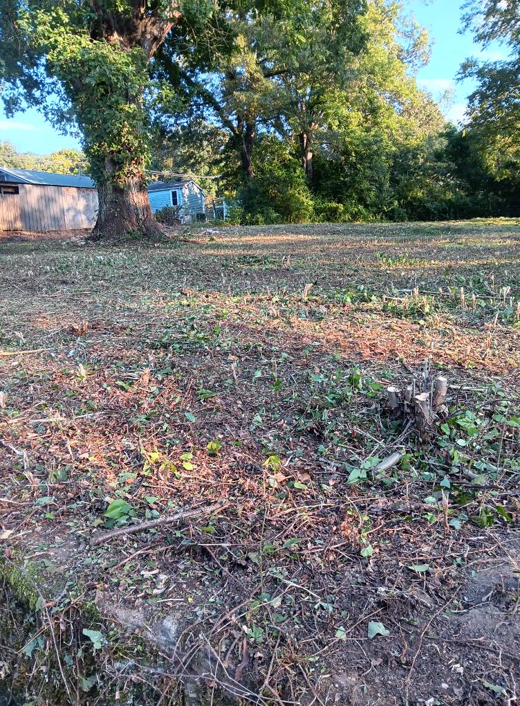  for Big C Land Management in Anniston, AL