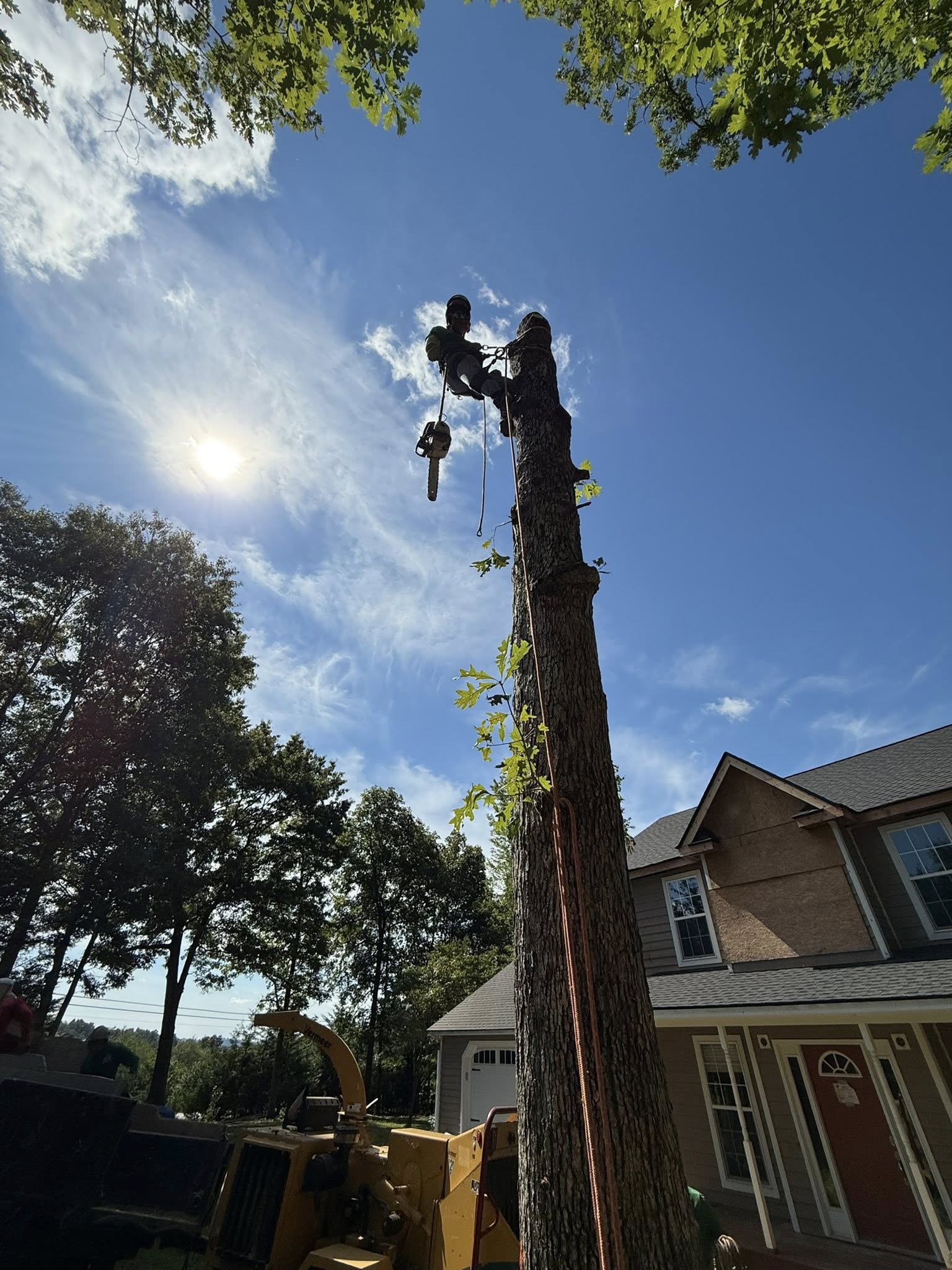  for Torres Tree Service and Landscaping in Hendersonville, NC
