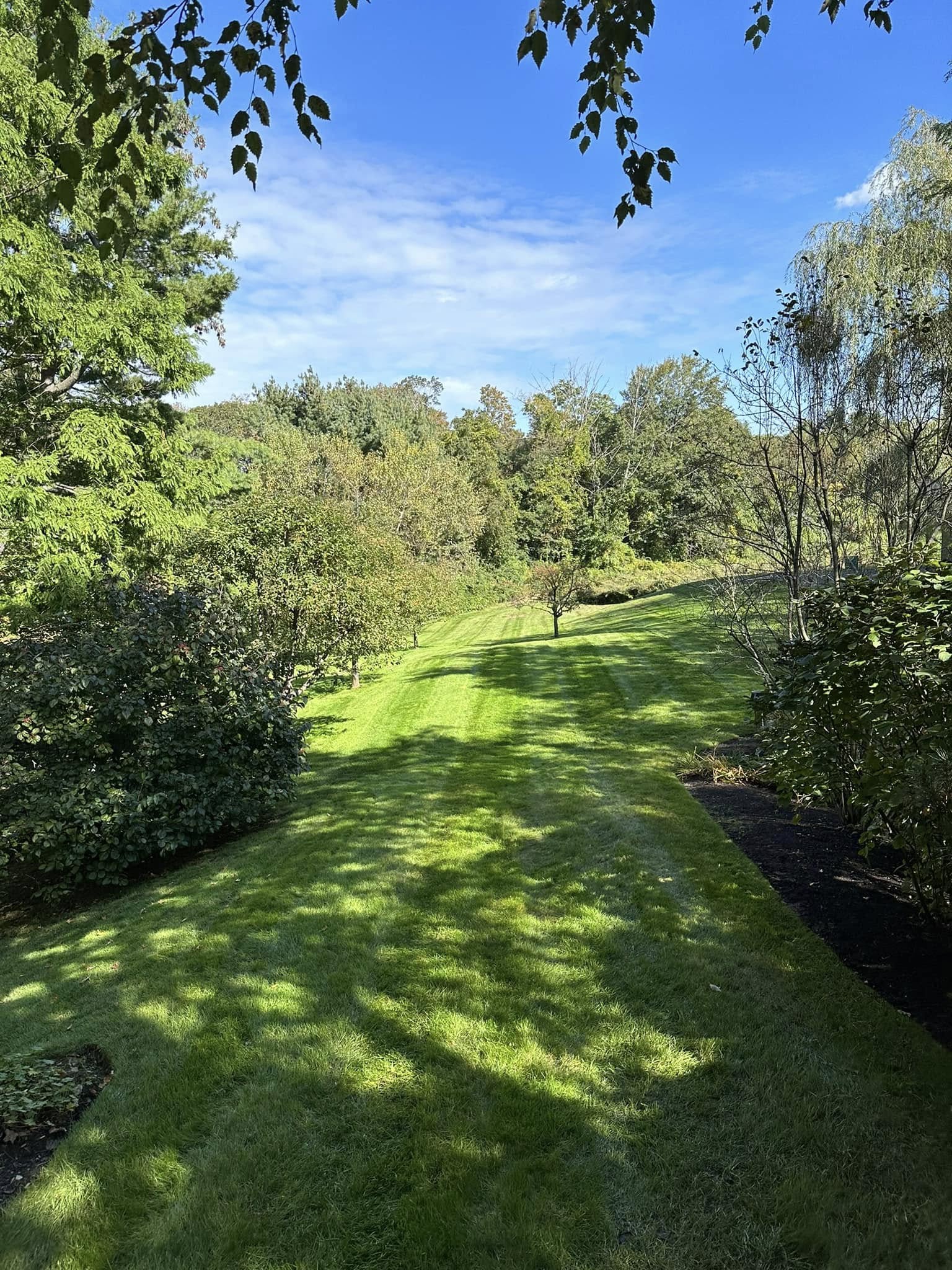  for Saavedra & Sons Landscaping in Waltham, MA