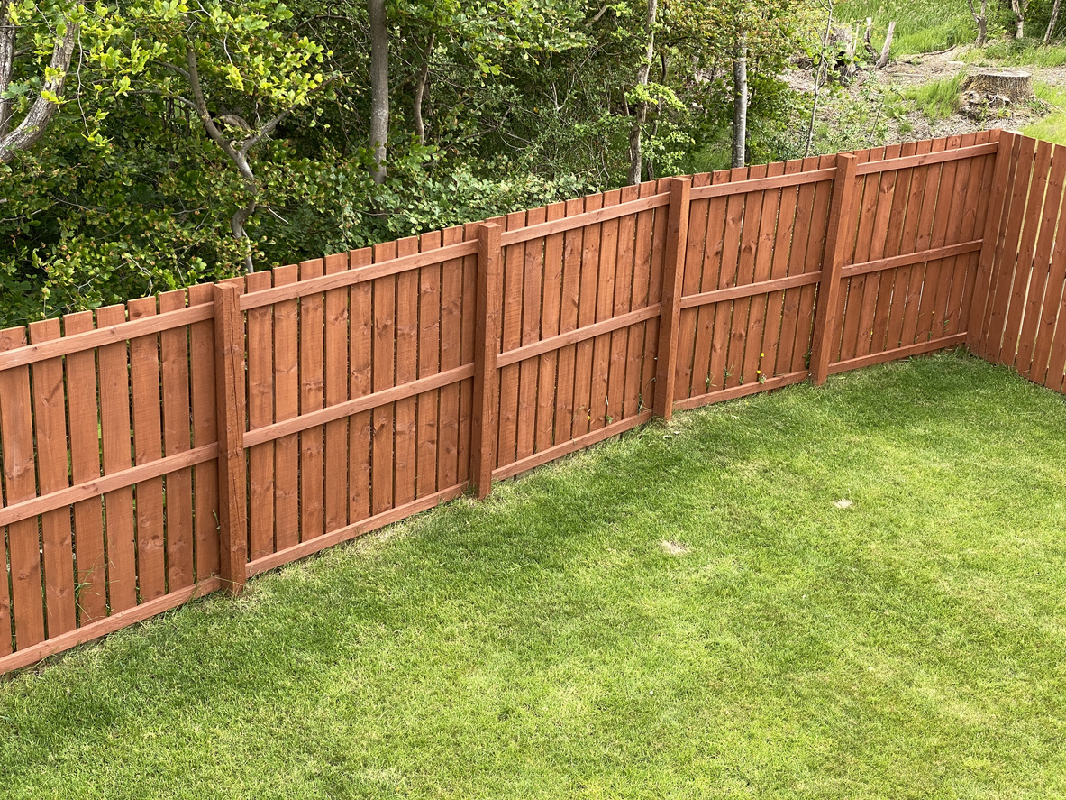 Wood privacy fence along a backyard