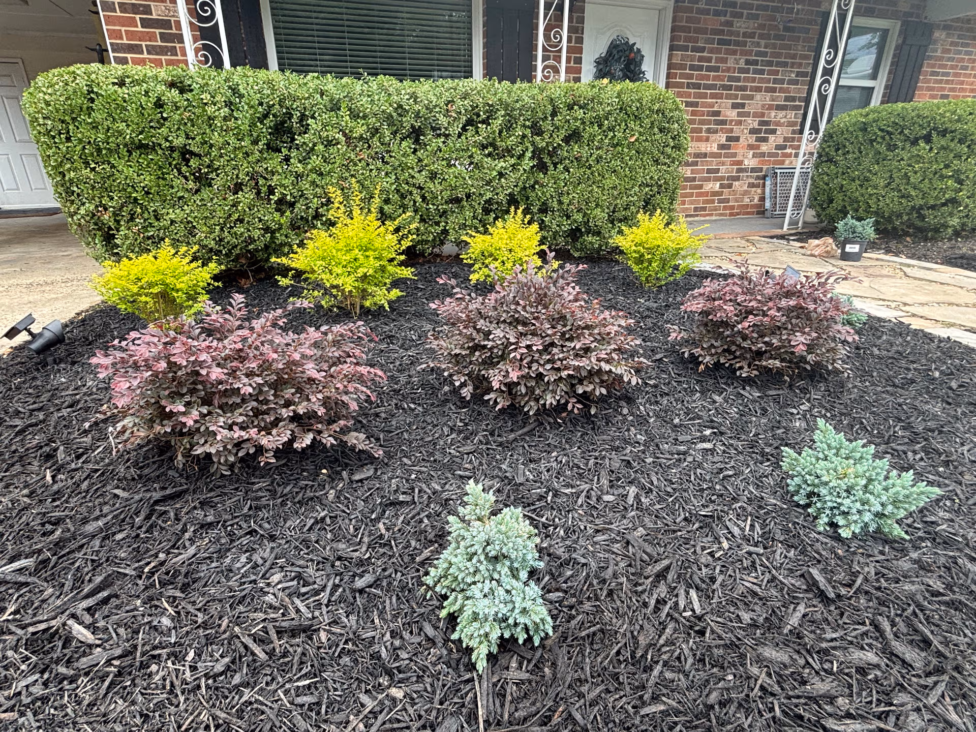Enhancing Garden Borders with Vibrant Touches