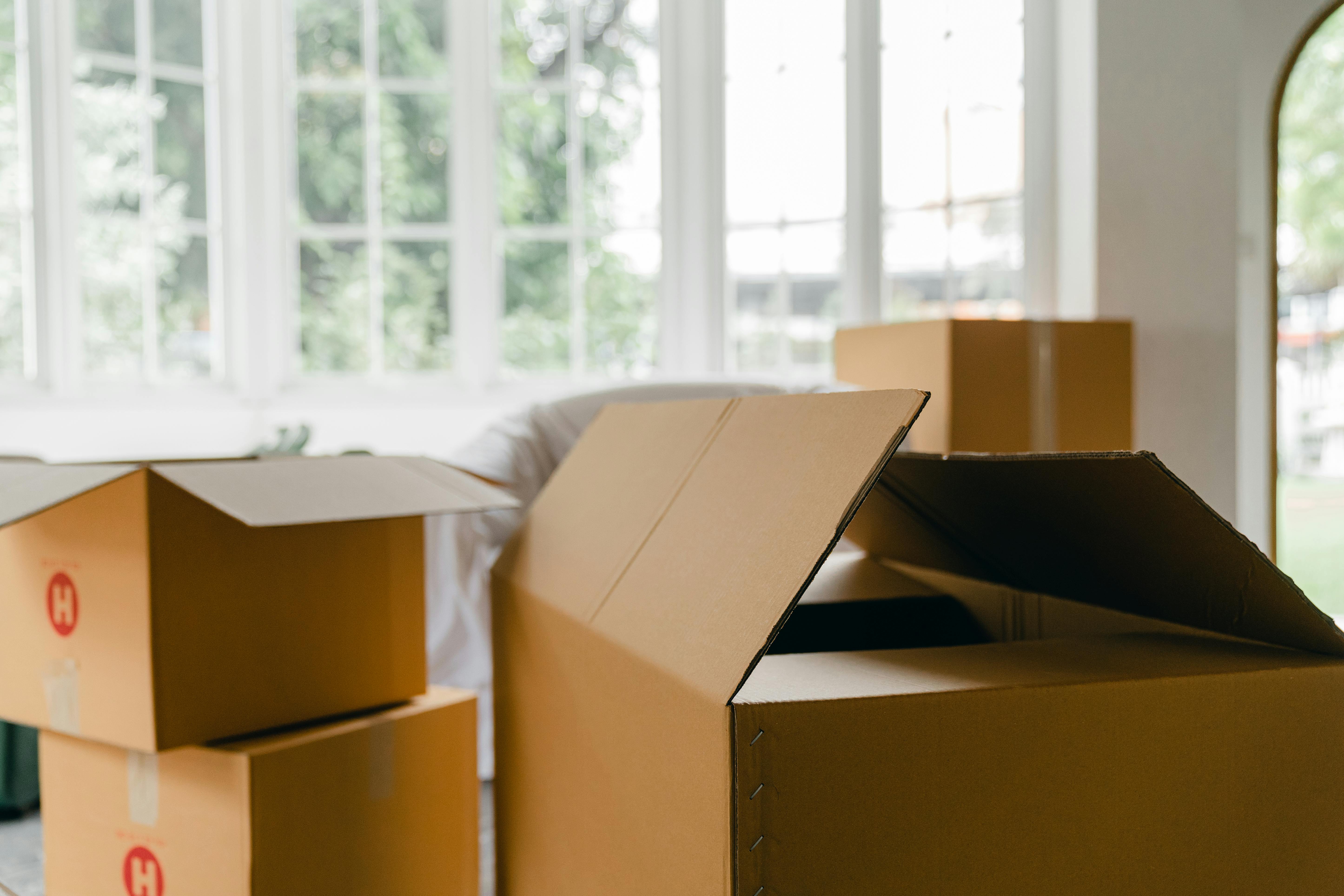 Mass Moving Pros team in Quincy, MA - people or person